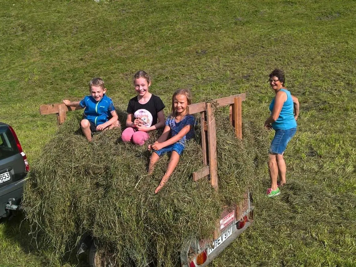 Ferienwohnungen Hamberger Sachrang 0*,  Germany